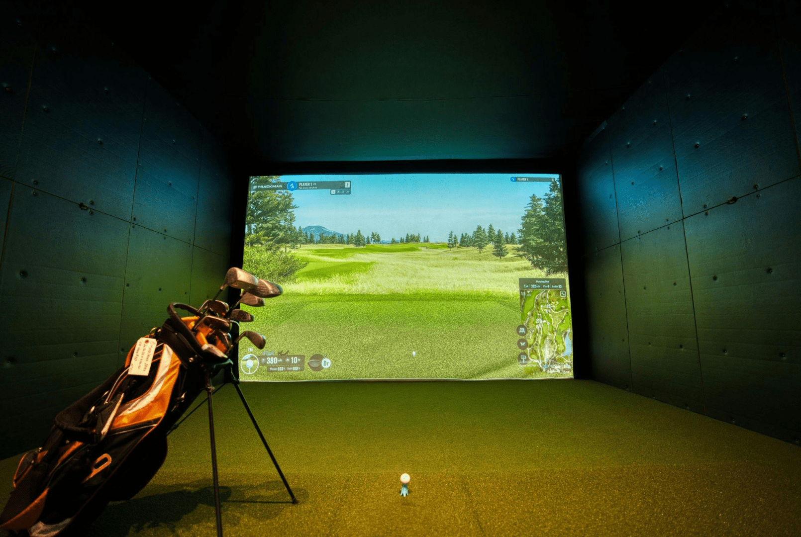 Golf simulator basement Durham Region