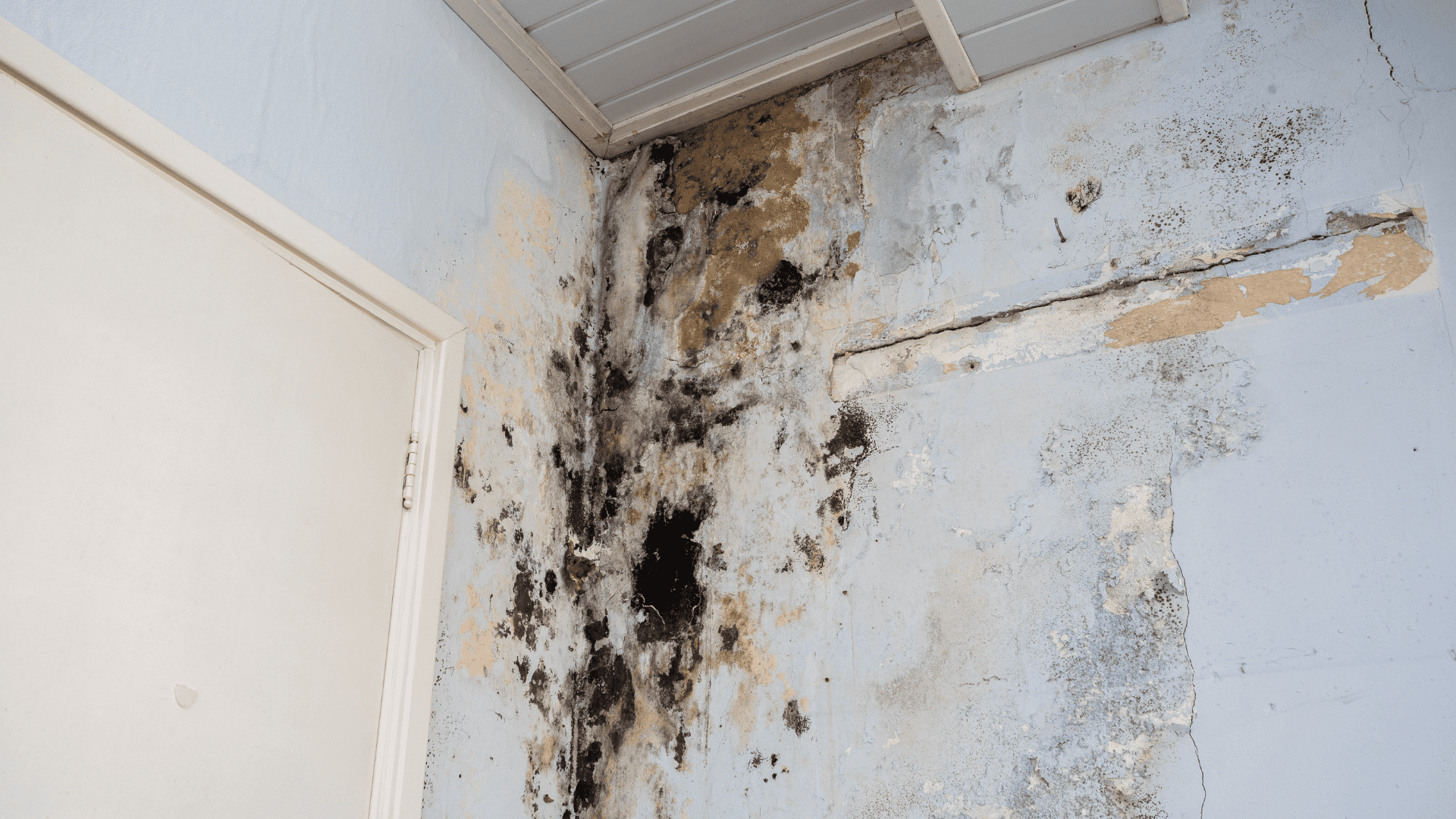 Insurance restoration Durham Region
